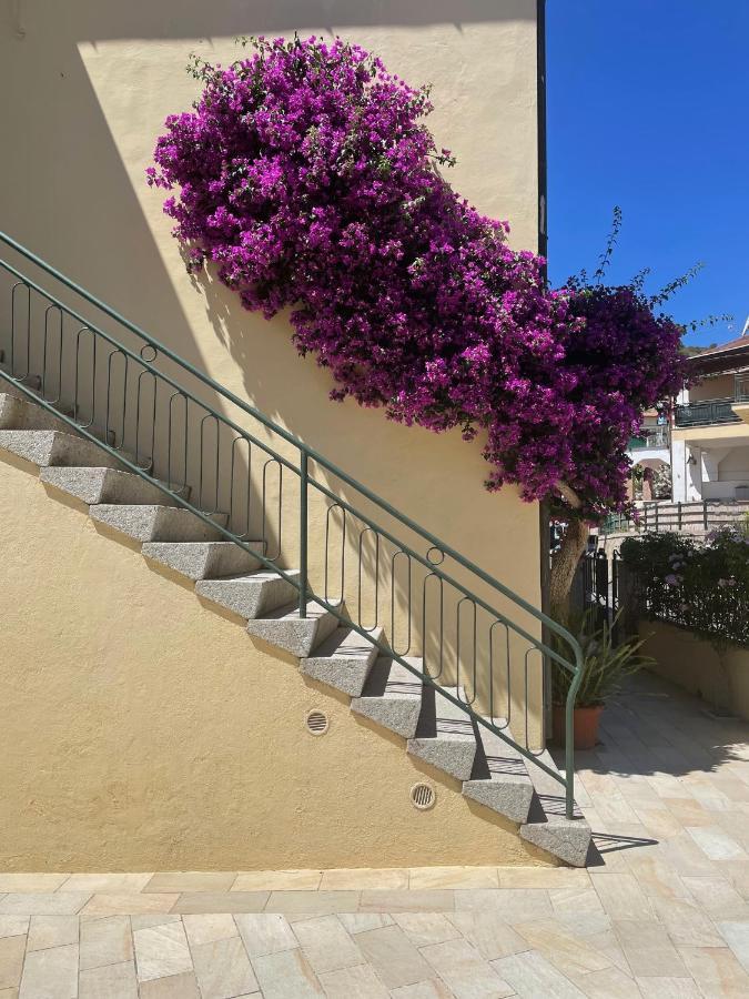 B&B L'Albero Di Melograno Seccheto Eksteriør bilde
